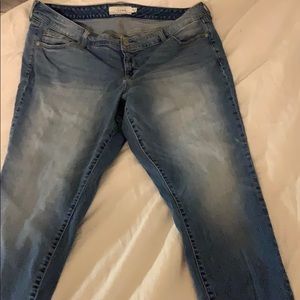 Torrid jeans
